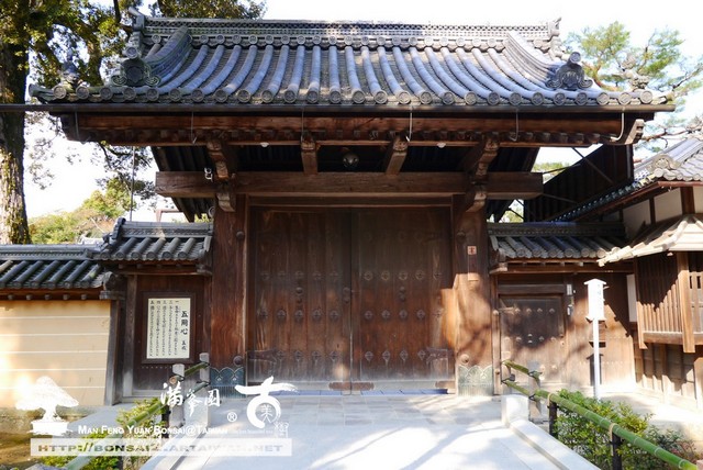 古美樹滿峯園金閣寺日本庭園