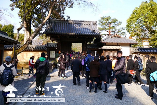 古美樹滿峯園金閣寺日本庭園