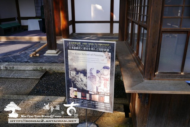 古美樹滿峯園金閣寺日本庭園