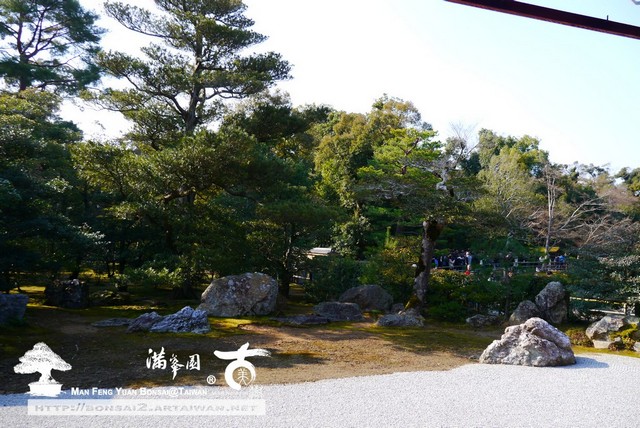 古美樹滿峯園金閣寺日本庭園