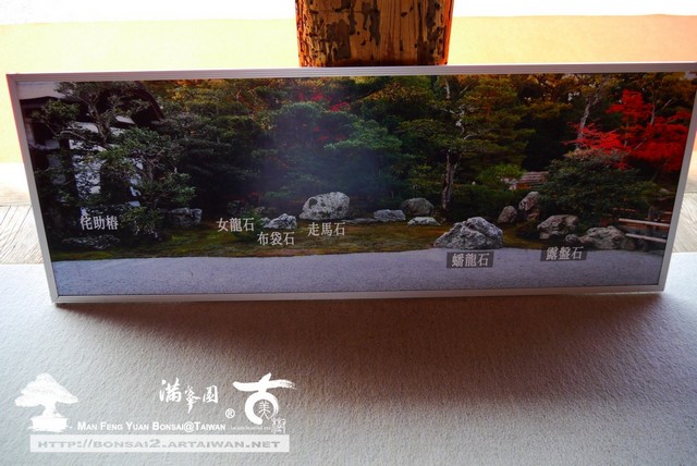 古美樹滿峯園金閣寺日本庭園