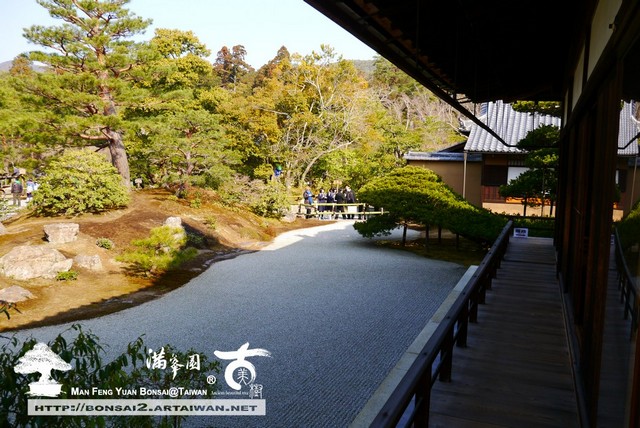 古美樹滿峯園金閣寺日本庭園
