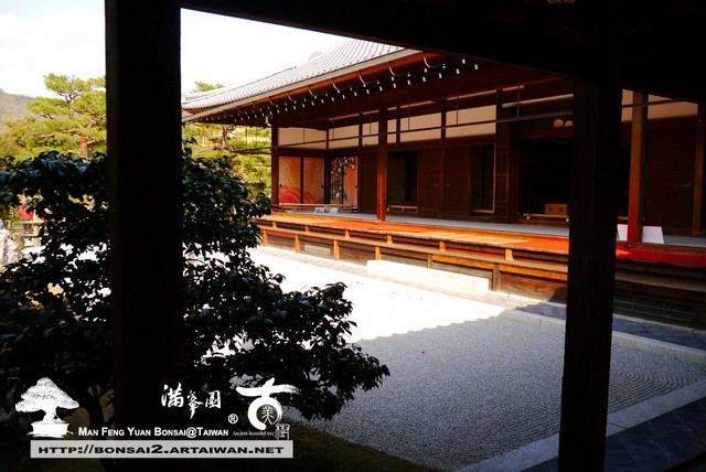 古美樹滿峯園金閣寺日本庭園