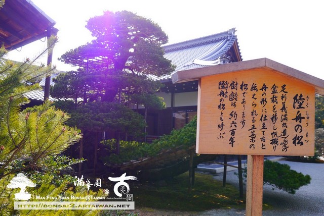古美樹滿峯園金閣寺日本庭園