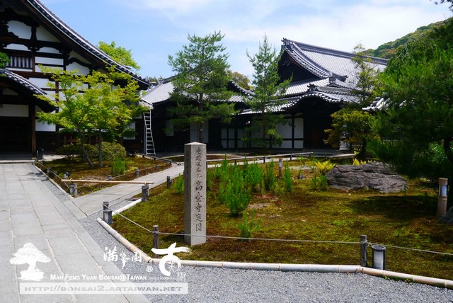 古美樹滿峯園高台寺日本庭園