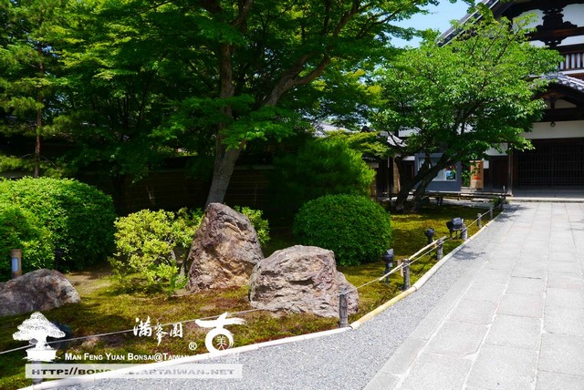 古美樹滿峯園高台寺日本庭園