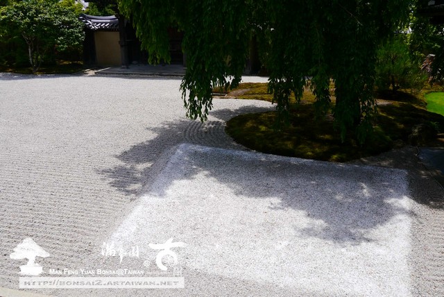 古美樹滿峯園高台寺日本庭園