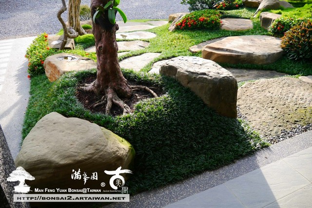 古美樹滿峯園庭園造景