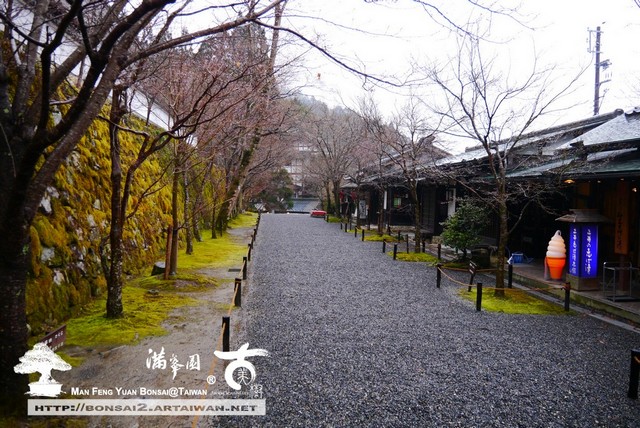 古美樹滿峯園日本庭園三千院