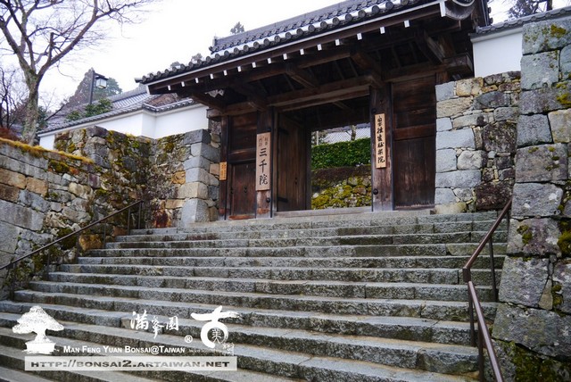 古美樹滿峯園日本庭園三千院