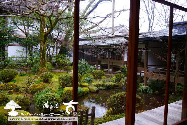 古美樹滿峯園日本庭園三千院