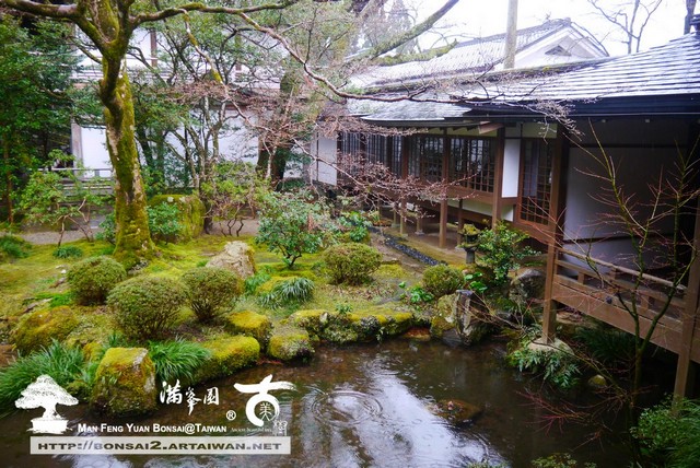 古美樹滿峯園日本庭園三千院