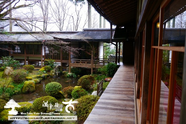 古美樹滿峯園日本庭園三千院