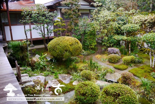 古美樹滿峯園日本庭園三千院
