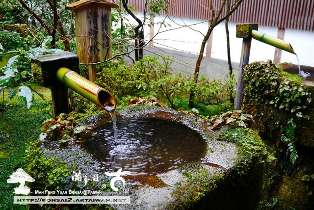 古美樹滿峯園日本庭園三千院
