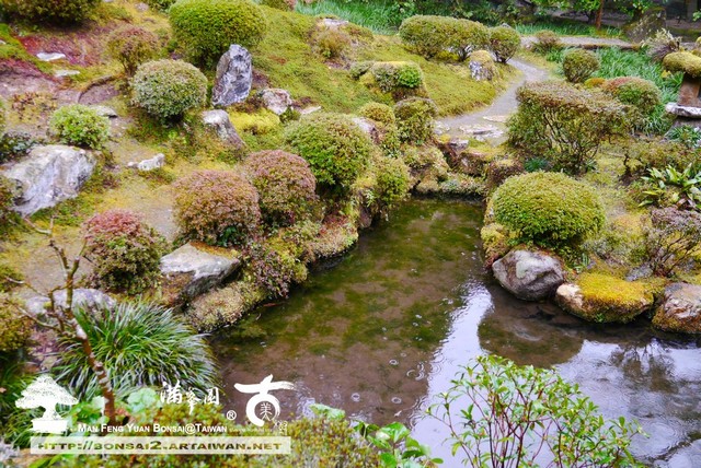 古美樹滿峯園日本庭園三千院