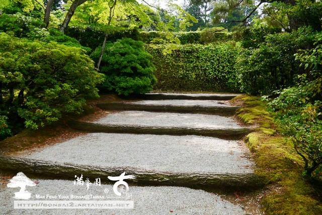 古美樹滿峯園日本庭園修學院