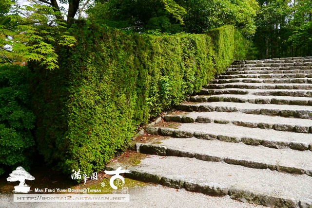 古美樹滿峯園日本庭園修學院