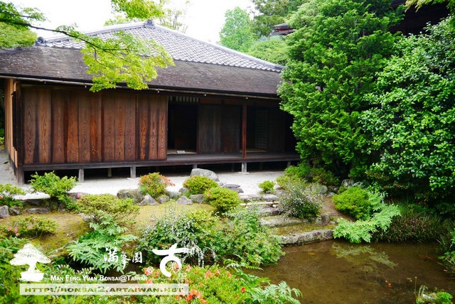 古美樹滿峯園日本庭園修學院
