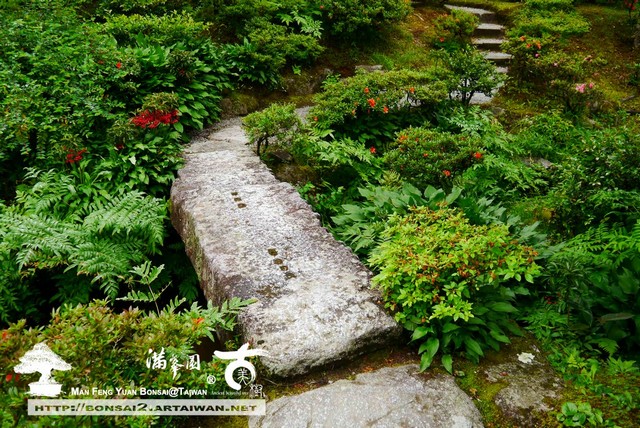 古美樹滿峯園日本庭園修學院