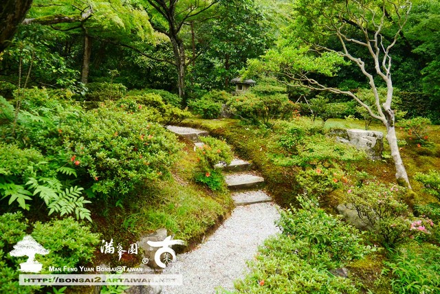 古美樹滿峯園日本庭園修學院