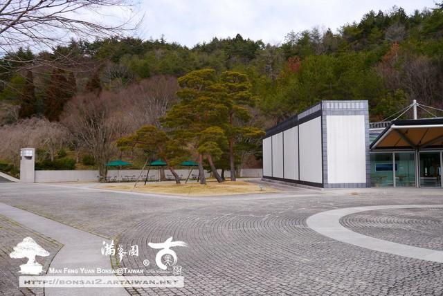 日本庭園MIHO美術館古美樹滿峯園