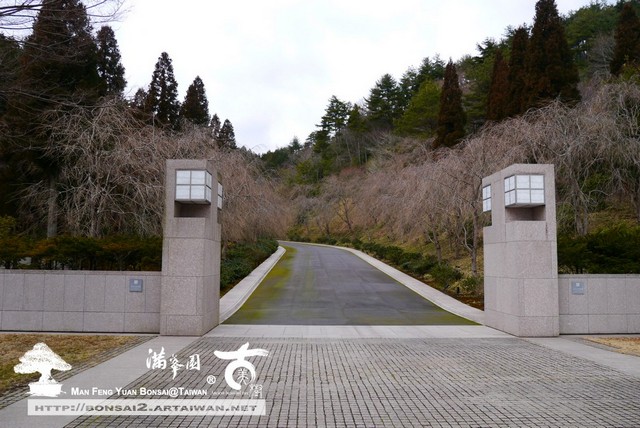 日本庭園MIHO美術館古美樹滿峯園