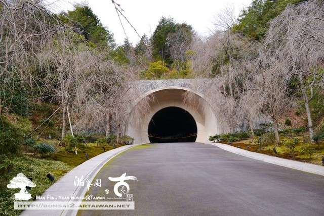 日本庭園MIHO美術館古美樹滿峯園
