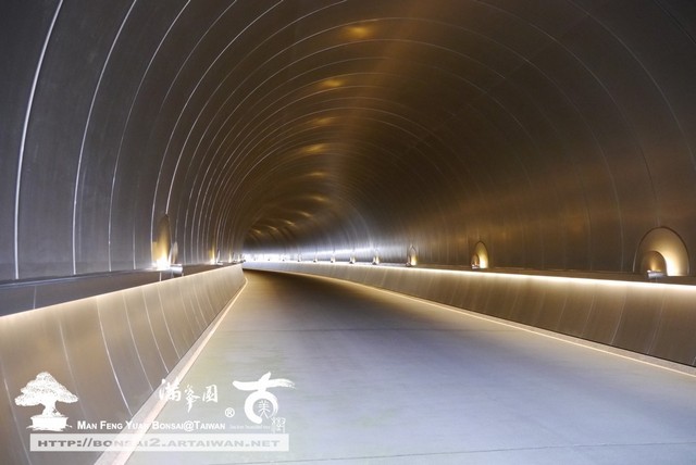 日本庭園MIHO美術館古美樹滿峯園