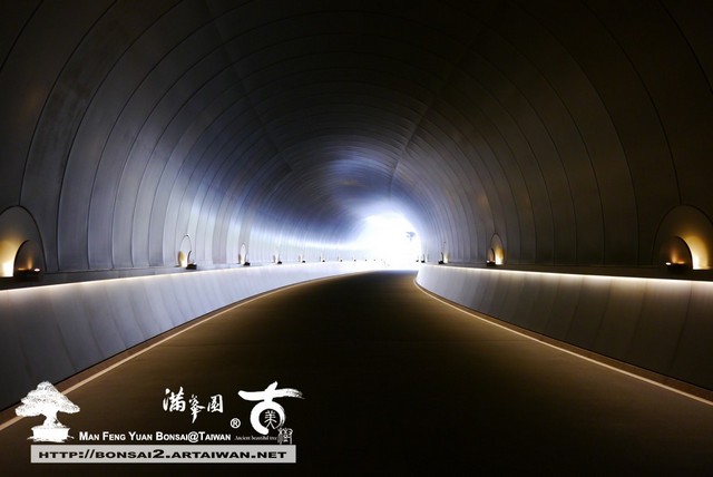 日本庭園MIHO美術館古美樹滿峯園