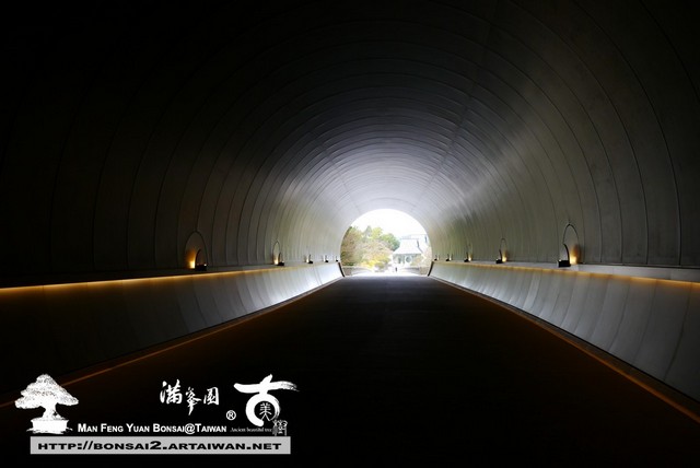 日本庭園MIHO美術館古美樹滿峯園