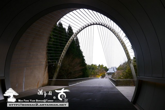 日本庭園MIHO美術館古美樹滿峯園