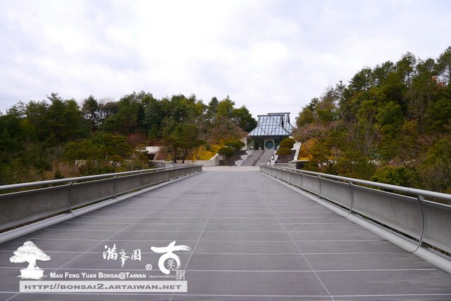 日本庭園MIHO美術館古美樹滿峯園