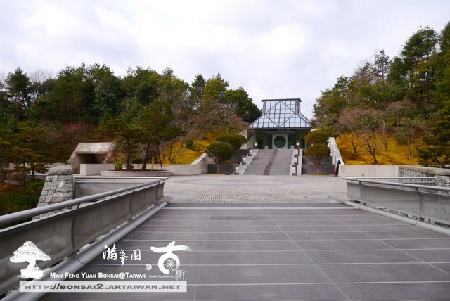 日本庭園MIHO美術館古美樹滿峯園