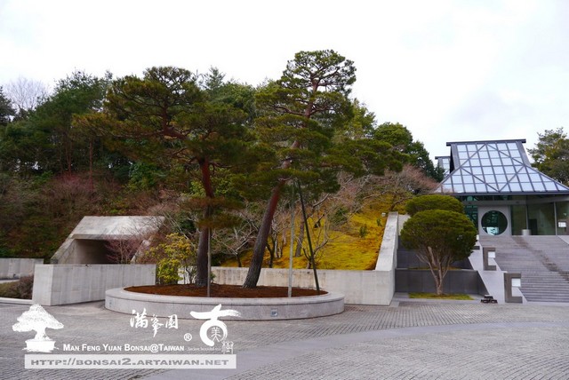 日本庭園MIHO美術館古美樹滿峯園