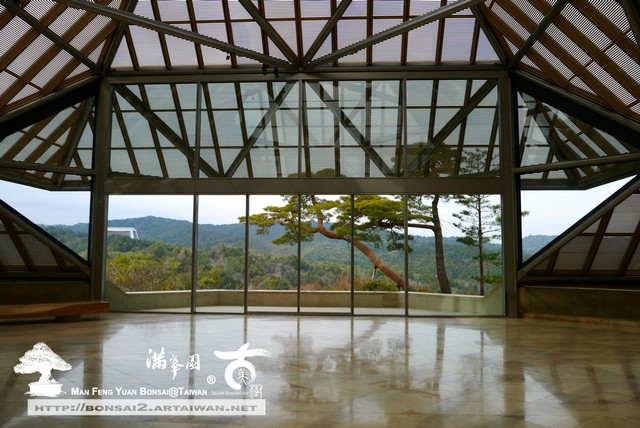 日本庭園MIHO美術館古美樹滿峯園