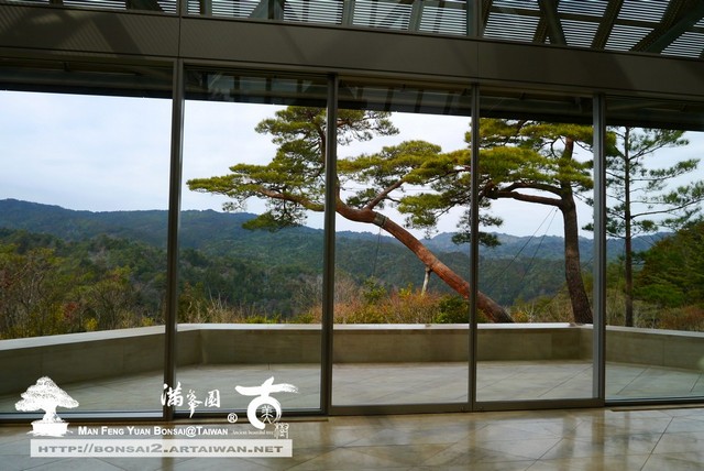 日本庭園MIHO美術館古美樹滿峯園