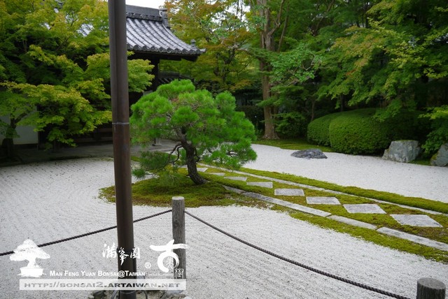 古美樹滿峯園日本庭園造景