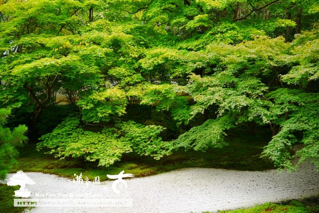 古美樹滿峯園日本庭園造景