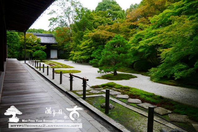 古美樹滿峯園日本庭園造景