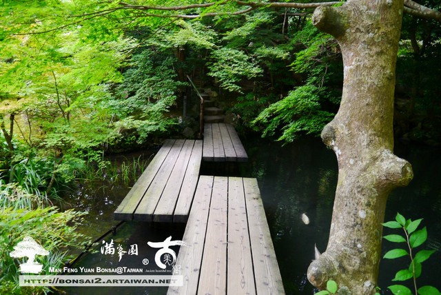 古美樹滿峯園日本庭園造景
