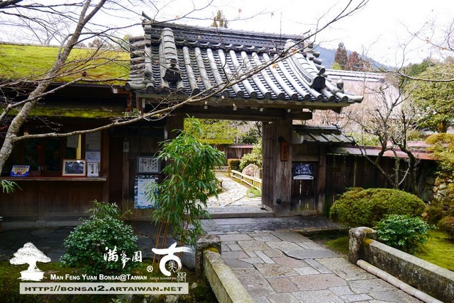 古美樹滿峯園日本庭園宝泉院