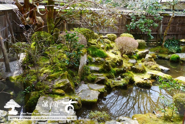 古美樹滿峯園日本庭園宝泉院