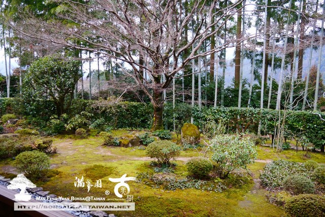 古美樹滿峯園日本庭園宝泉院