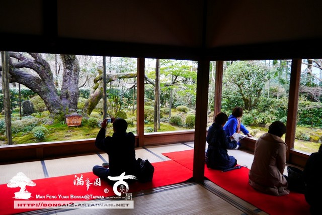 古美樹滿峯園日本庭園宝泉院