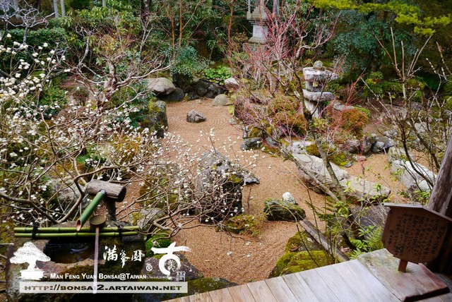 古美樹滿峯園日本庭園宝泉院