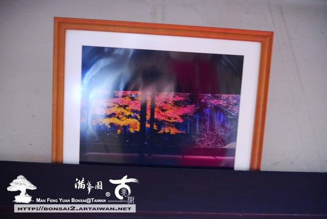 古美樹滿峯園日本庭園宝泉院