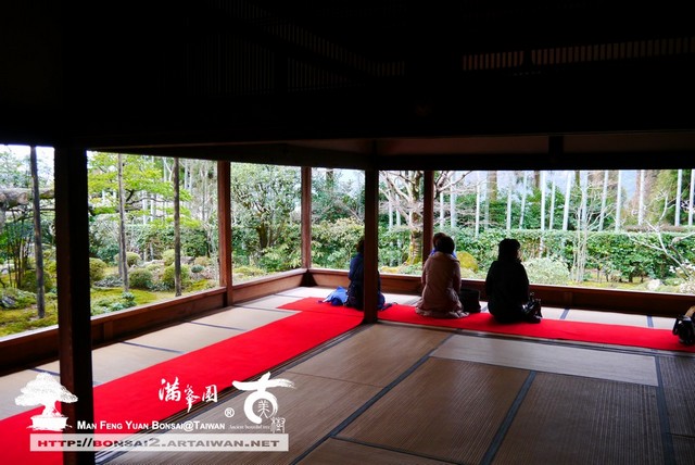 古美樹滿峯園日本庭園宝泉院