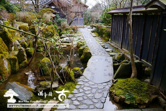 古美樹滿峯園日本庭園宝泉院