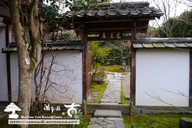 滿峯園古美樹日本庭園金福寺